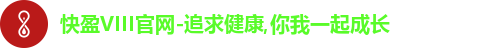 快盈VIII